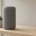 Are Smart Home Speakers Worth It? An Honest Look